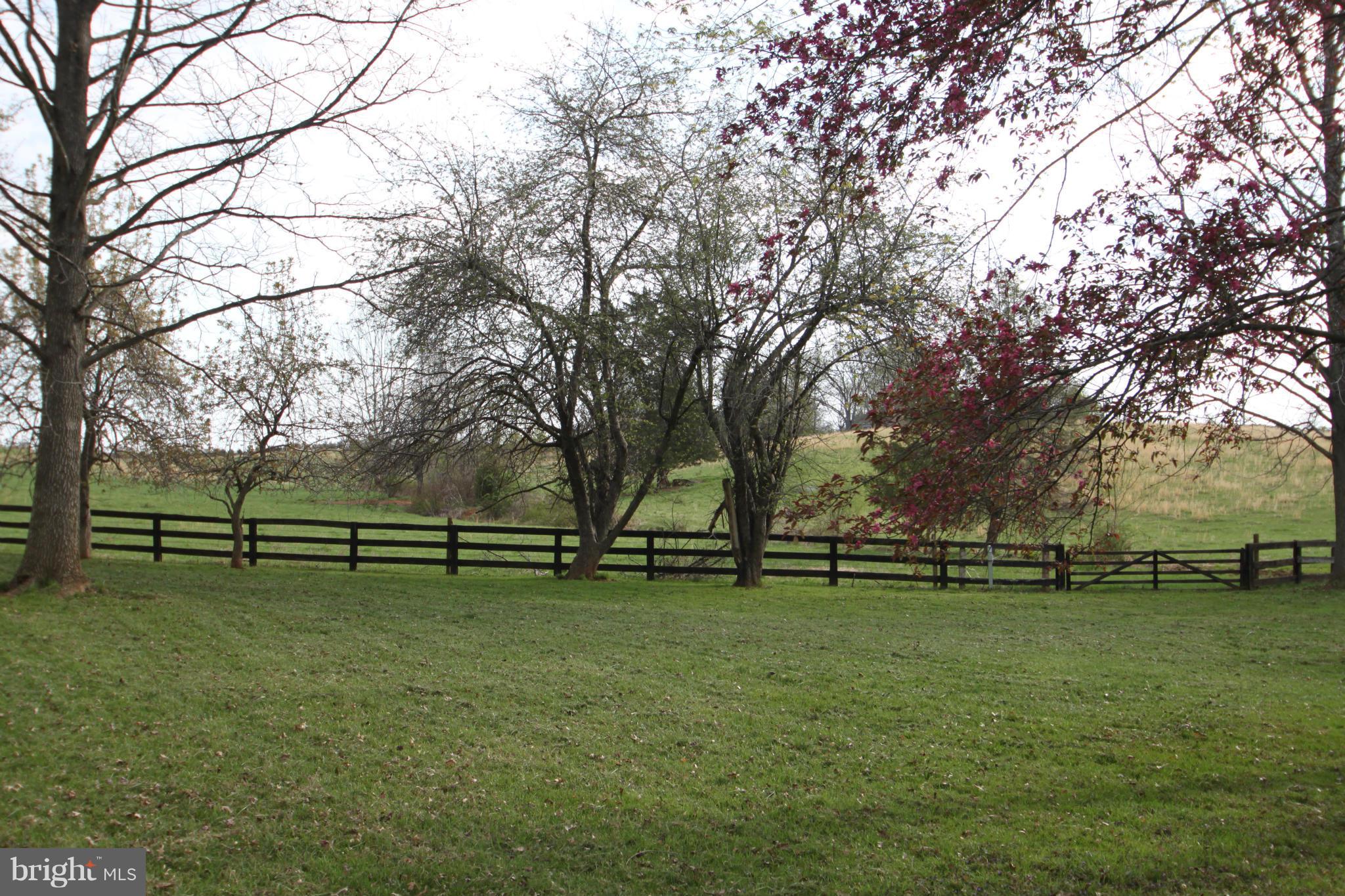 18087 Ryland Chapel Road Rixeyville, VA 22737 - Photo 17 of 29 Exterior (General)