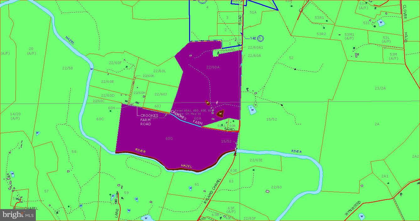 18087 Ryland Chapel Road Rixeyville, VA 22737 - Photo 19 of 29 GIS snapshot showing two parcels