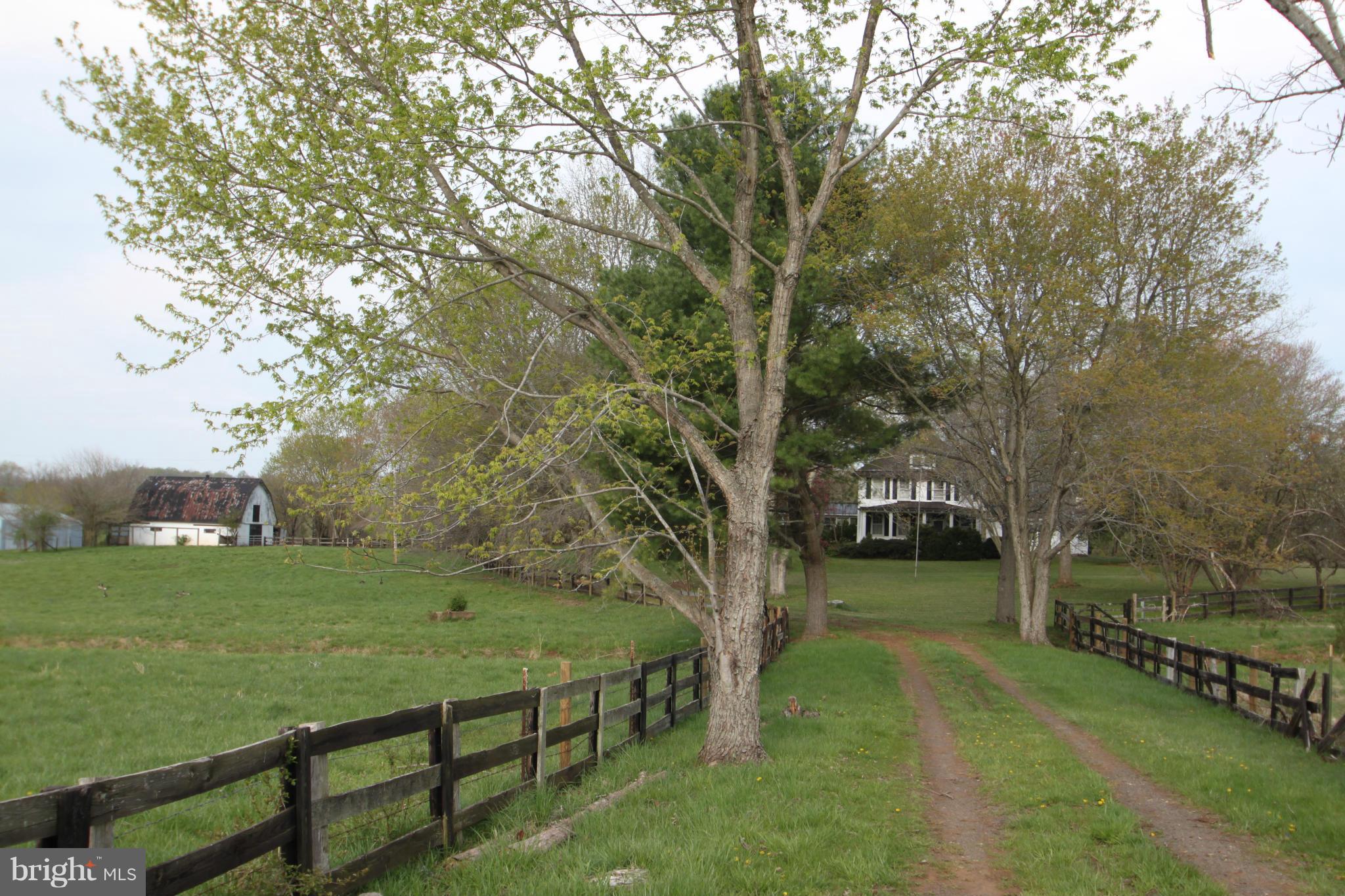 18087 Ryland Chapel Road Rixeyville, VA 22737 - Photo 4 of 29 Exterior (General)