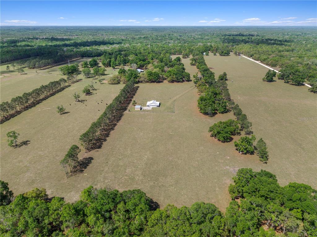 4639 Southwest Wilson Springs Road Fort White, FL 32038 - Photo 47 of 76