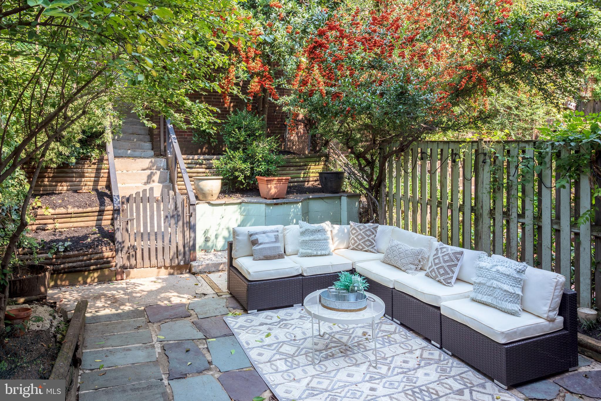 3155 Adams Mill Road Northwest Washington, DC 20010 - Photo 13 of 29 Back Patio