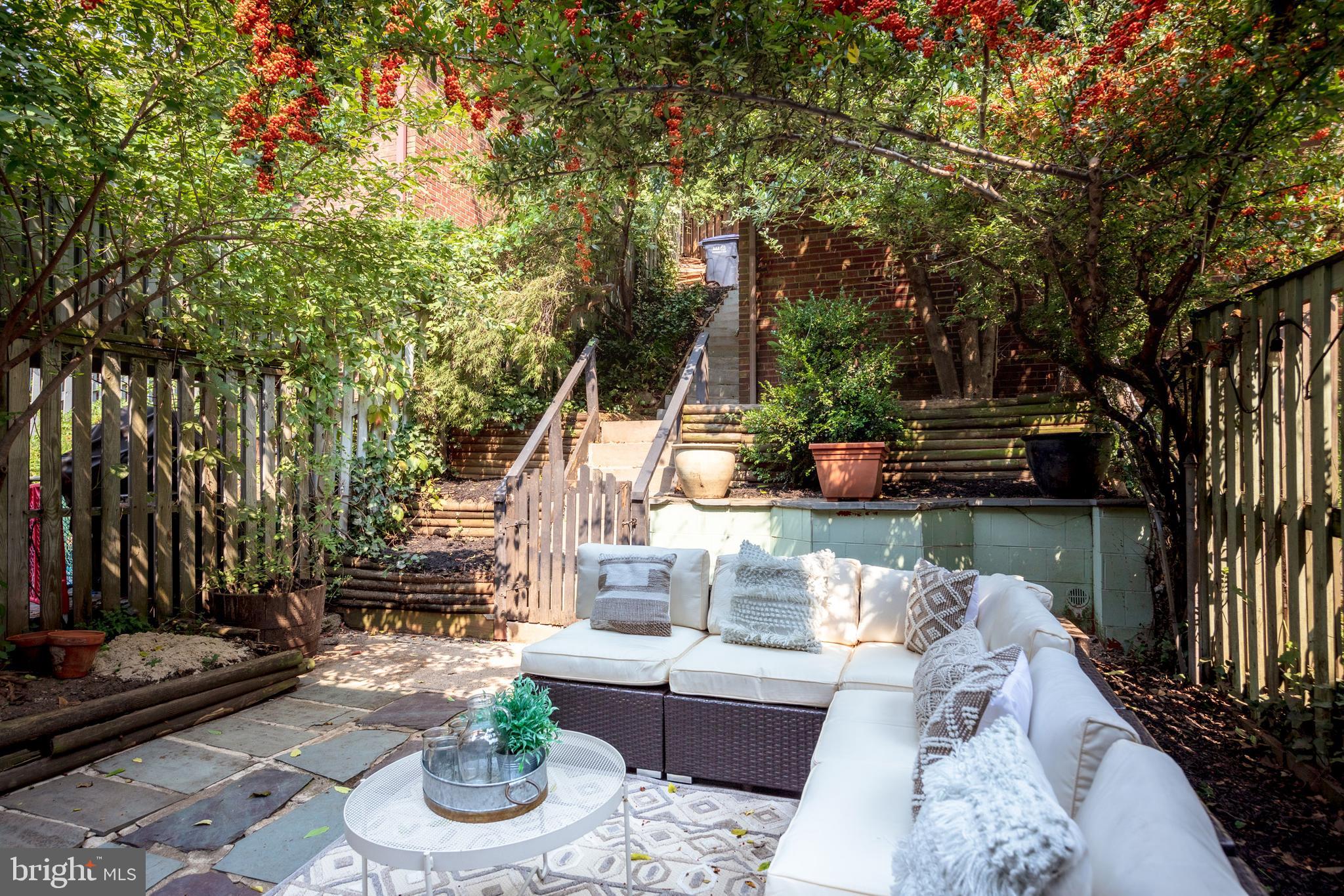 3155 Adams Mill Road Northwest Washington, DC 20010 - Photo 14 of 29 Back Patio