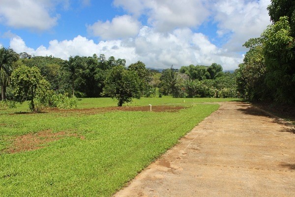 6803 Pulama Road, Unit 4 Kapaa, HI 96746 - Photo 2 of 4 Gallery Image 2