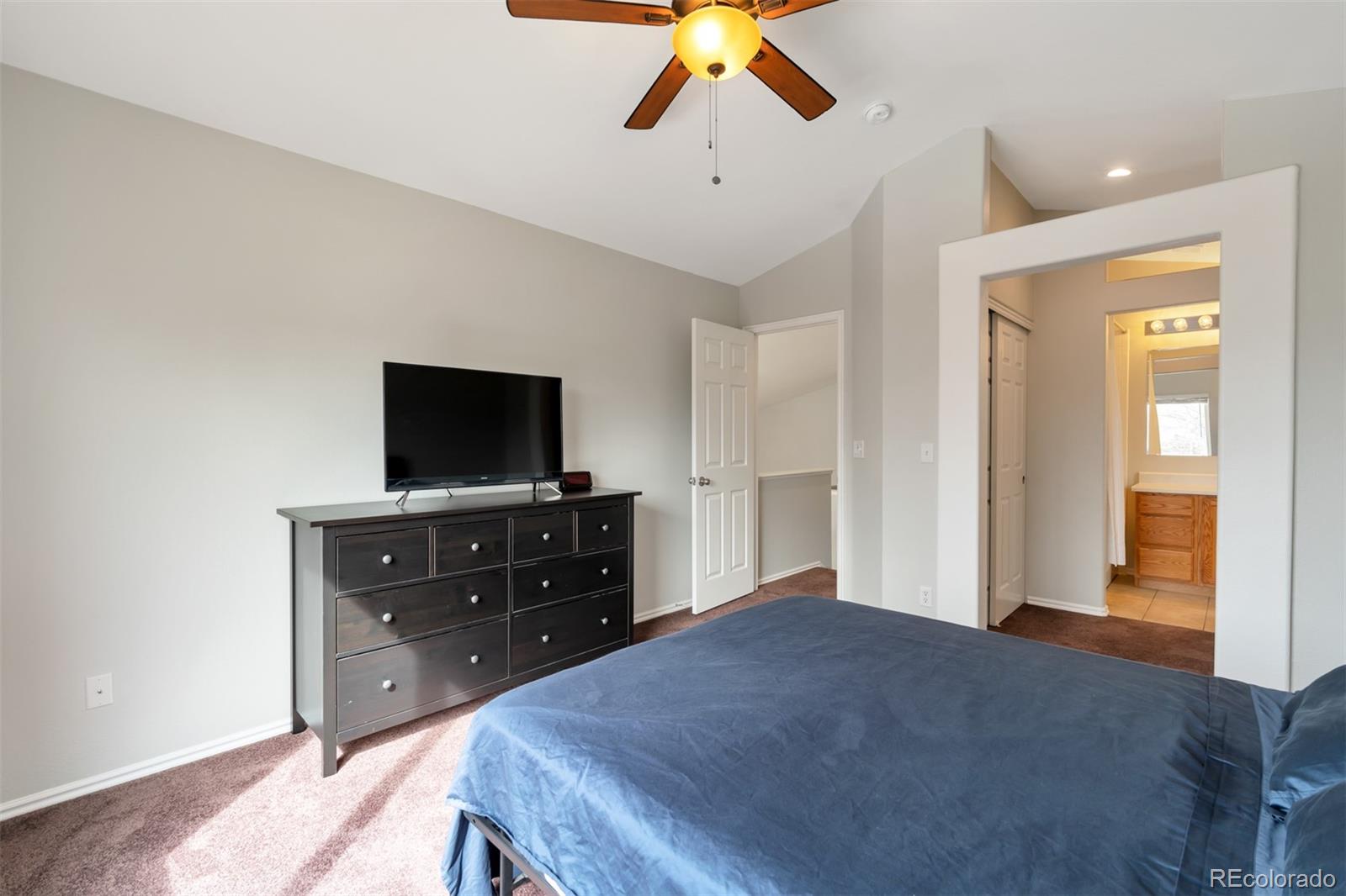9335 Roadrunner Street Highlands Ranch, CO 80129 - Photo 14 of 28 Gallery Image 14