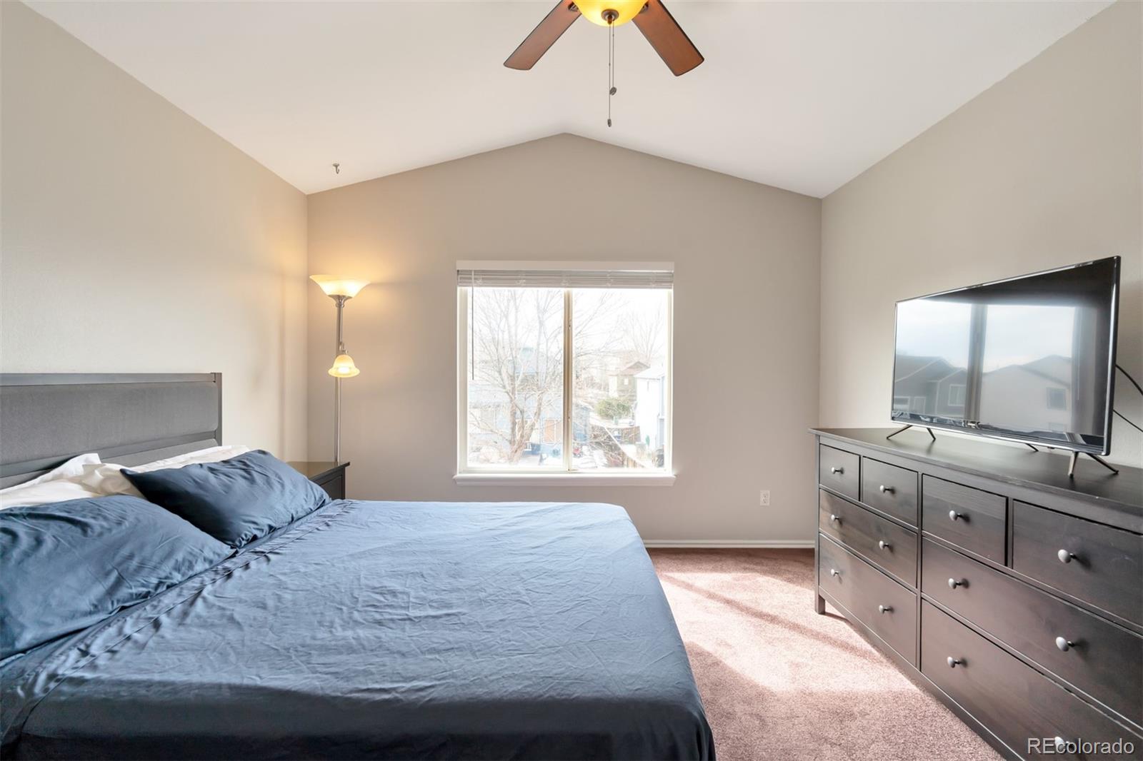 9335 Roadrunner Street Highlands Ranch, CO 80129 - Photo 15 of 28 Gallery Image 15