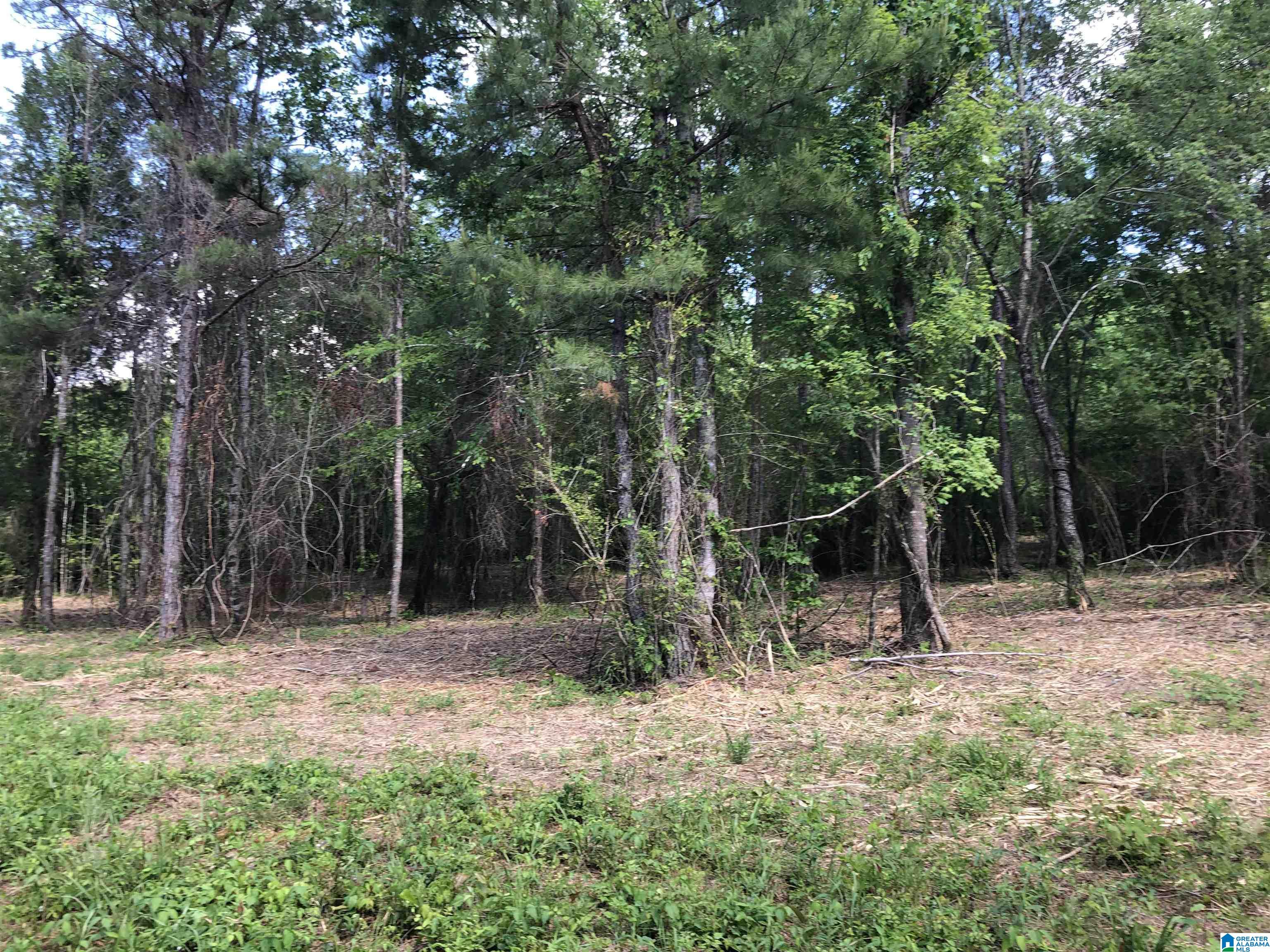 0 Peeks Hill Road, Unit 1 Ohatchee, AL 36271 - Photo 4 of 6