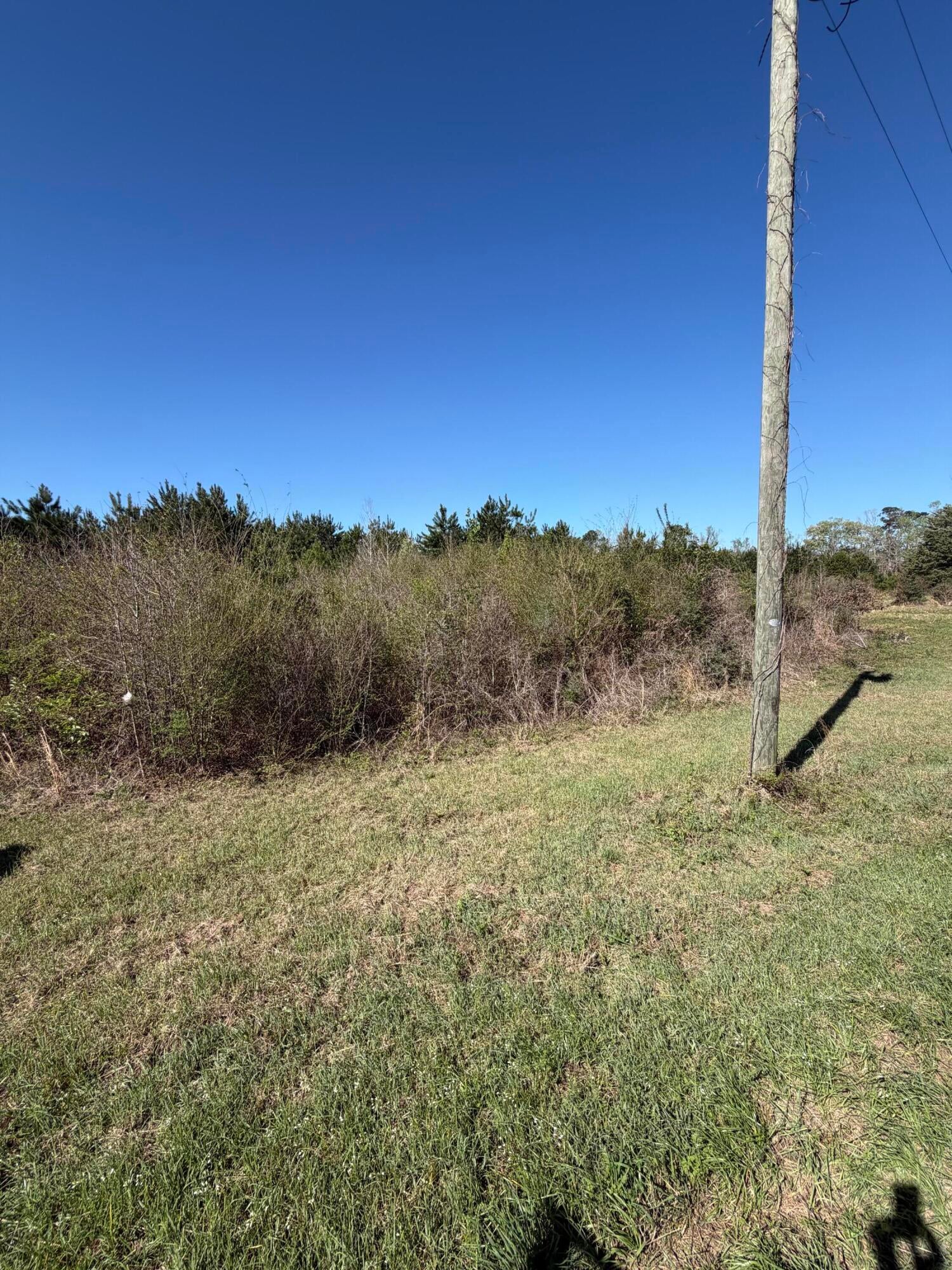 Archie Wilbert Leesville, LA 71446 - Photo 5 of 6 Gallery Image 5