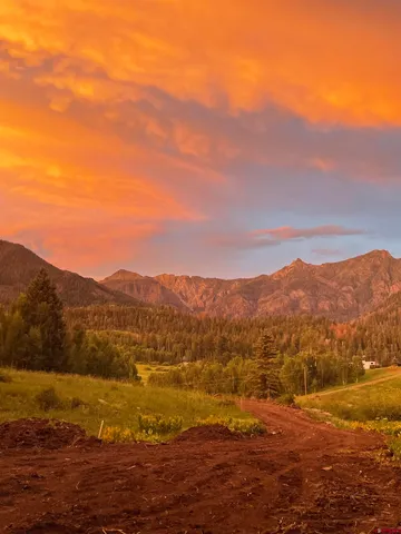 a view of outdoor space with trees
