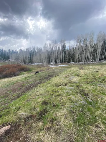 a backyard of a house with lots of green space and seating