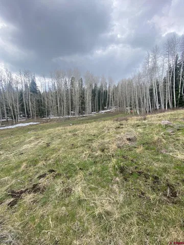 $130,000 | 255 Wapiti Place, Creede, CO 81147