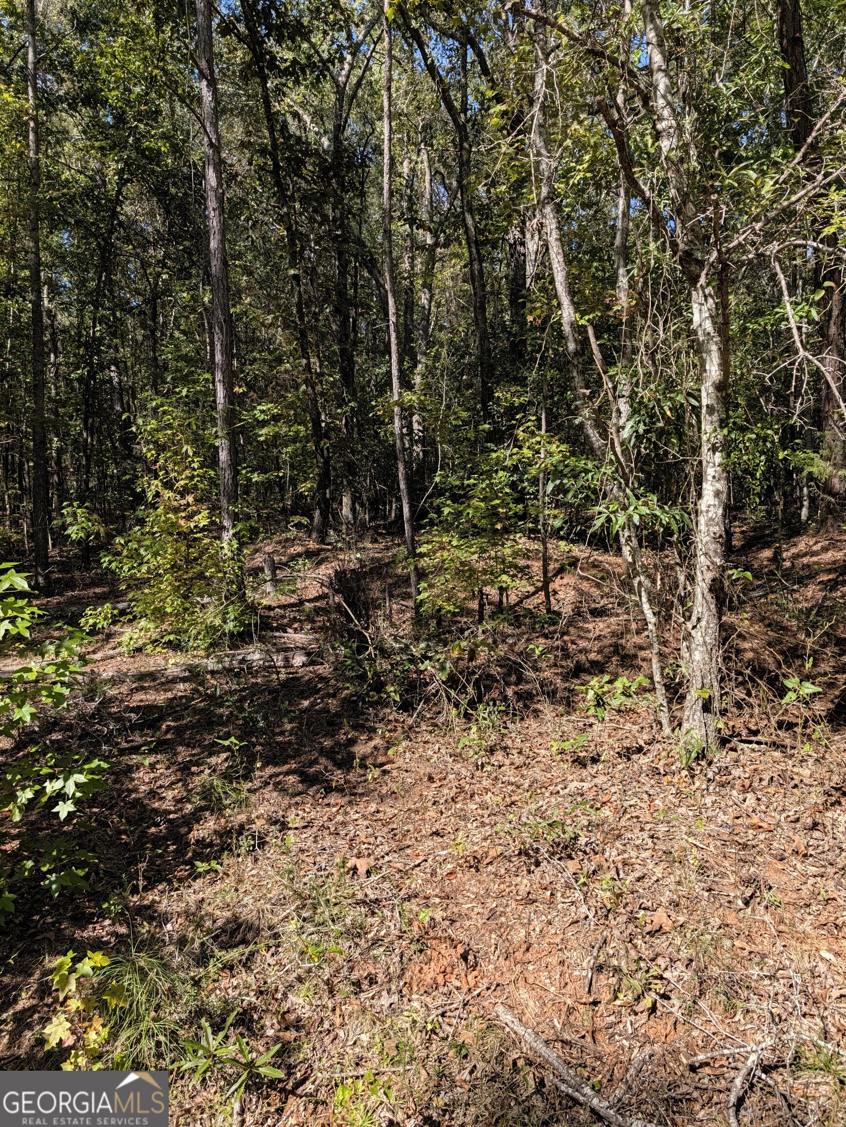 -chappell Mill Chappell Mill Road Milner, GA 30257 - Photo 7 of 10 Gallery Image 7