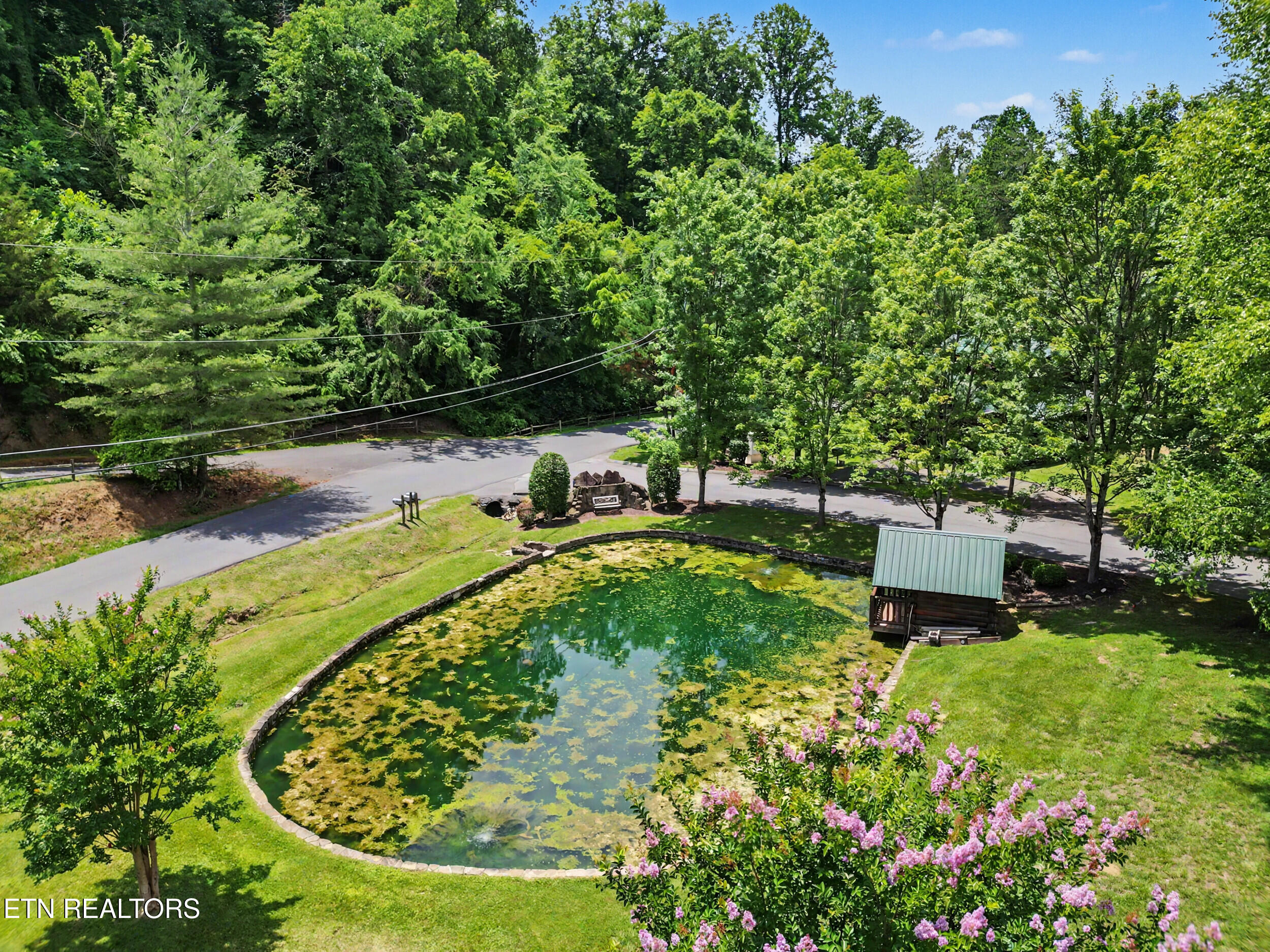 1629 Little Cabin Loop Pigeon Forge, TN 37862 - Photo 45 of 59 45_dji_0074