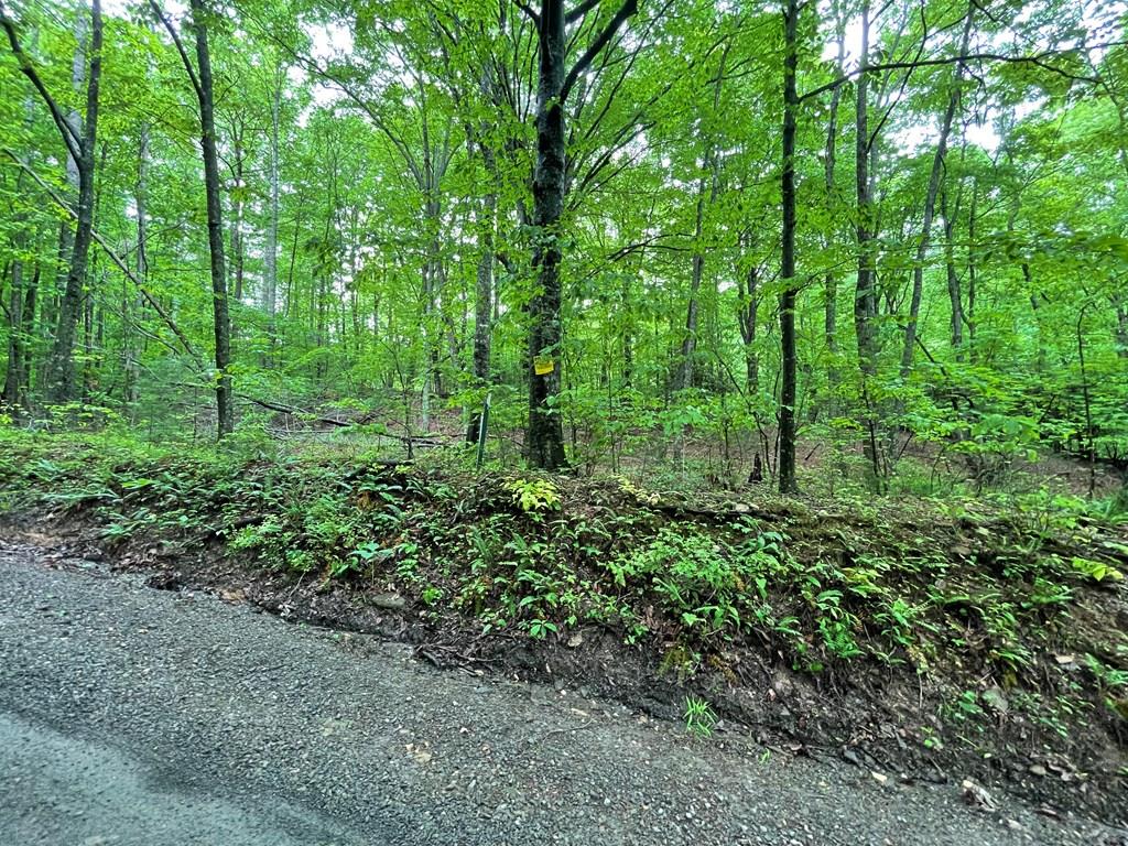 Tbd Millstone Road, Unit 46 Woodlawn, VA 24381 - Photo 18 of 24 Gallery Image 18