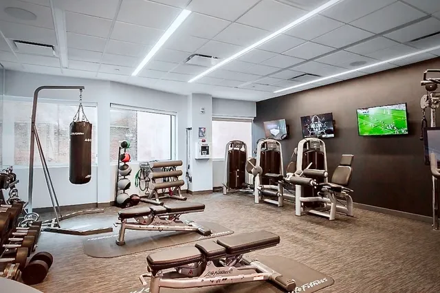 a potted plant sitting in a kitchen next to a window