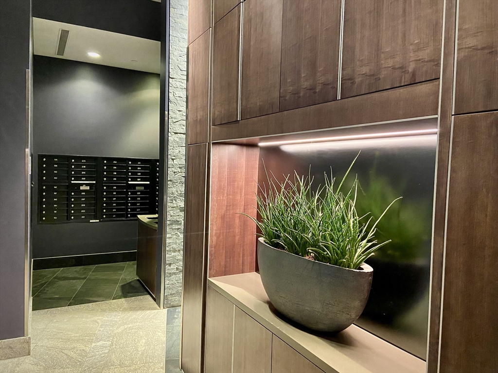 110 Stuart Street, Unit 16H Boston, MA 02116 - Photo 14 of 17 a potted plant sitting in a kitchen next to a window
