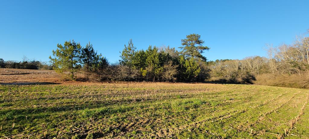 50.45-acres Trawick Road Dothan, AL 36301 - Photo 12 of 62