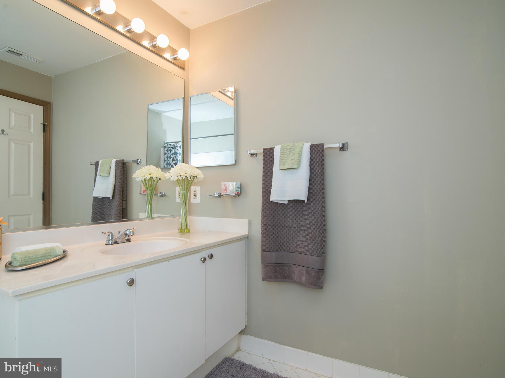 20576 Snowshoe Square, Unit 102 Ashburn, VA 20147 - Photo 13 of 30 Master bathroom
