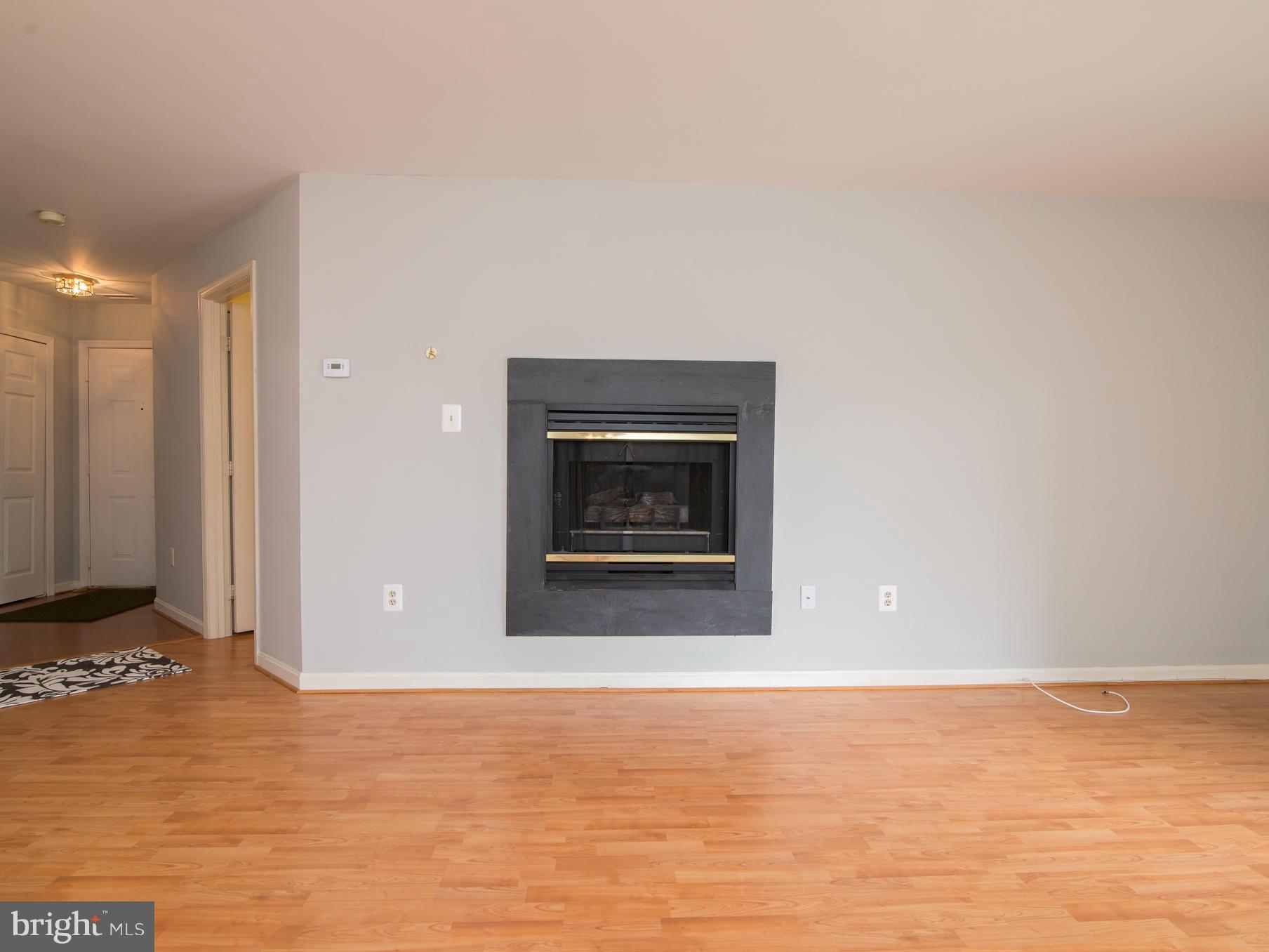 20576 Snowshoe Square, Unit 102 Ashburn, VA 20147 - Photo 23 of 30 Fireplace