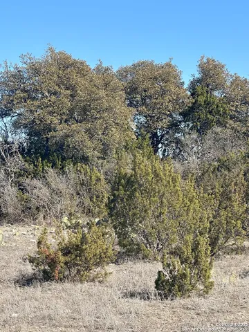 $125,000 | Tbd SD 74100, Sonora, TX 76950