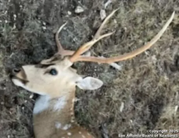 $125,000 | Tbd SD 74100, Sonora, TX 76950