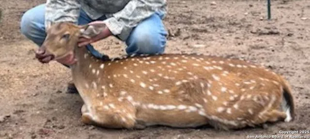 $125,000 | Tbd SD 74100, Sonora, TX 76950