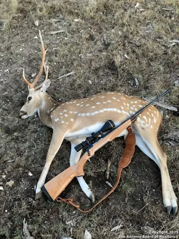 $125,000 | Tbd SD 74100, Sonora, TX 76950