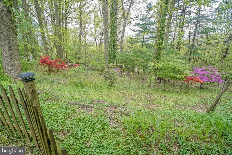 432 Sharon Drive Wayne, PA 19087 - Photo 8 of 58