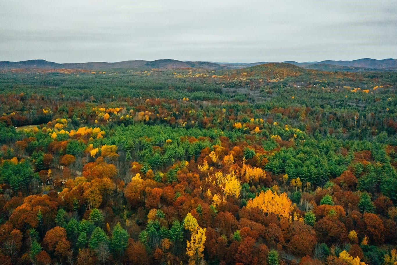 0 Spring Road West Newfield, ME 04095 - Photo 16 of 17 Drone 6