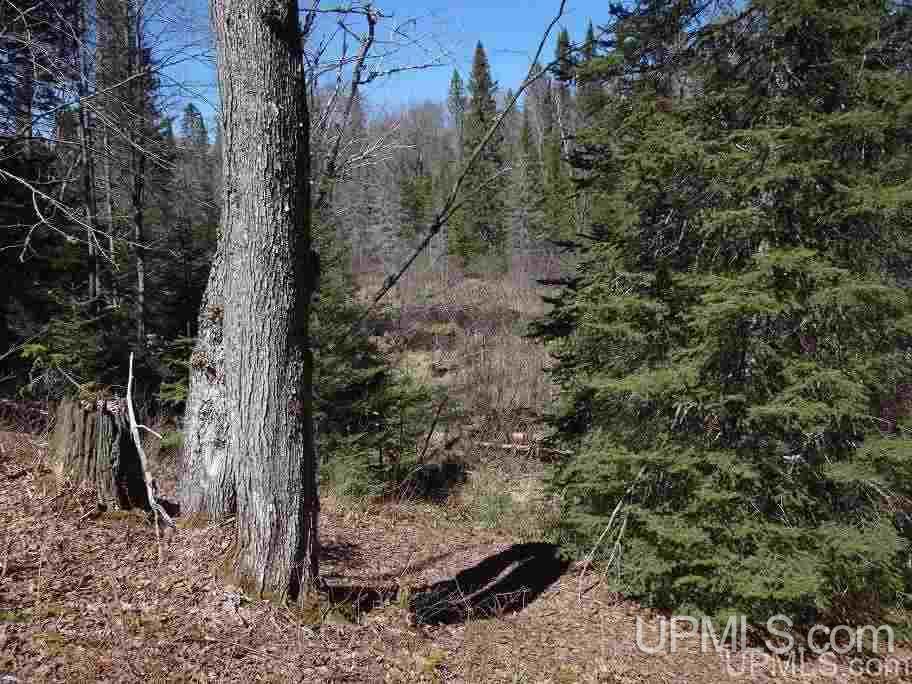 Tbd Celotex Road Michigamme, MI 49946 - Photo 17 of 25