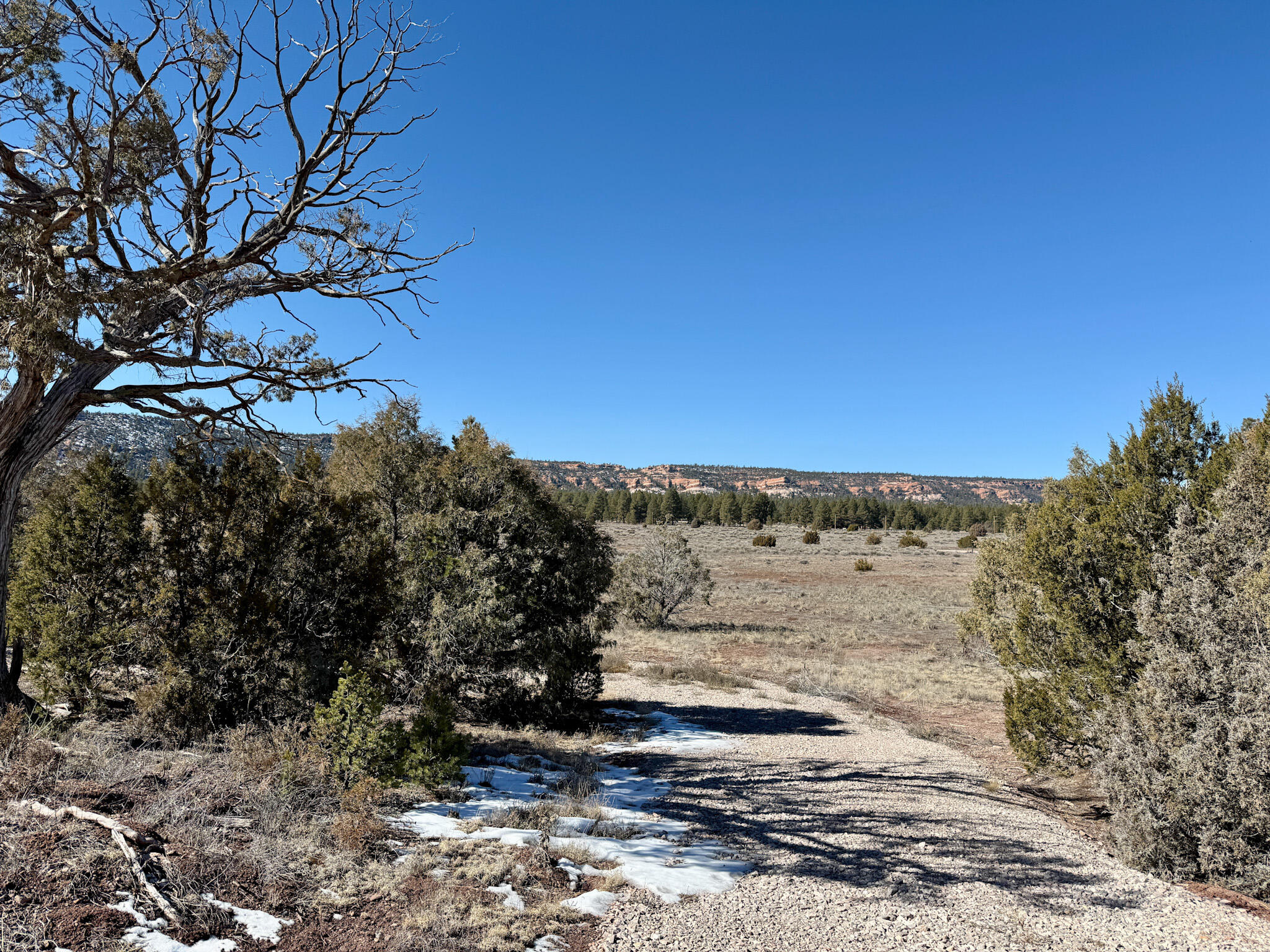 700 Timberlake Road Ramah, NM 87321 - Photo 38 of 78 Gallery Image 38