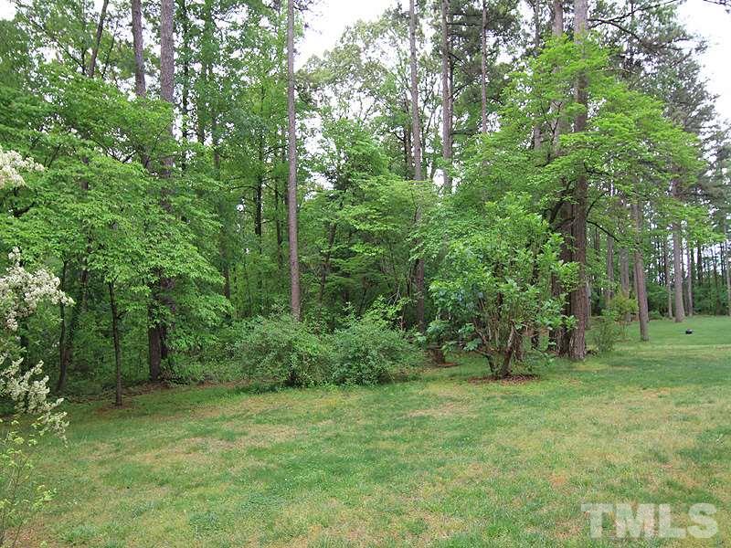 103 Calms Way Rougemont, NC 27572 - Photo 12 of 13 a view of outdoor space and green space