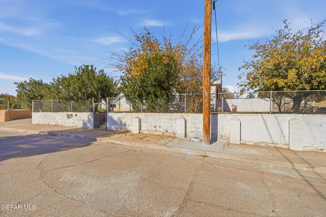 a view of road with large trees