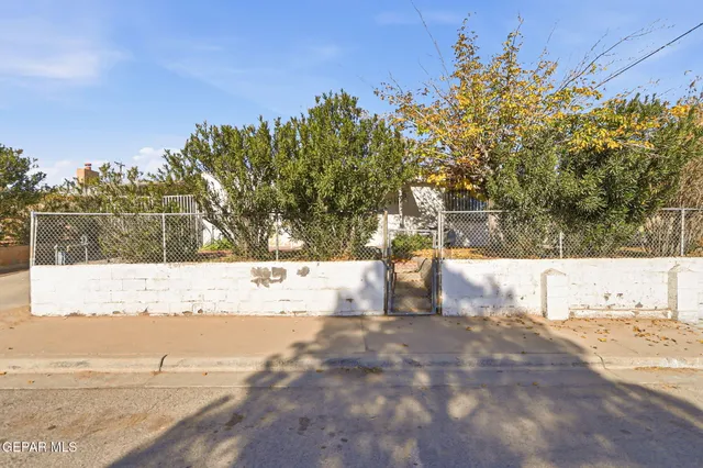 a view of a yard with trees