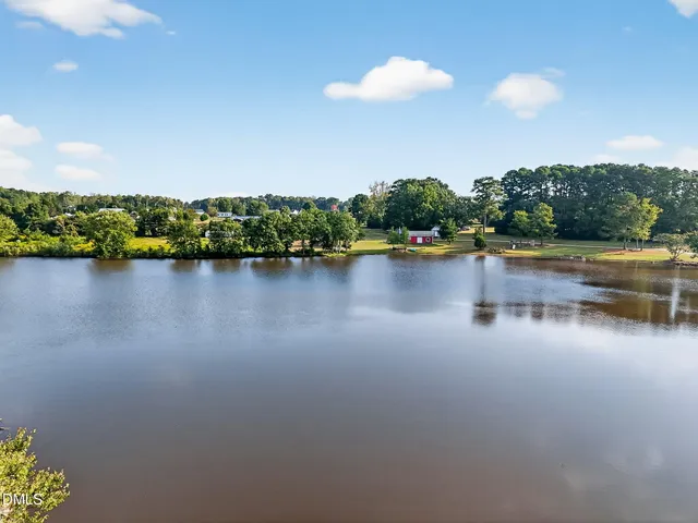 a view of a garden with a lake