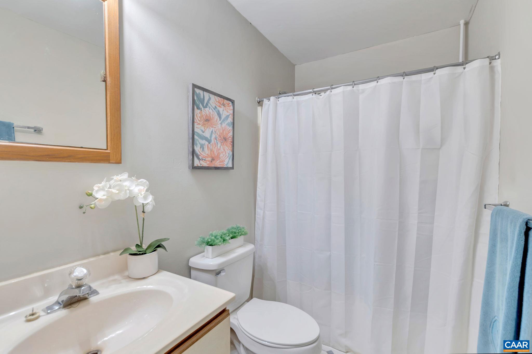 2597 Ridge Road Palmyra, VA 22963 - Photo 24 of 28 a bathroom with a sink mirror and toilet