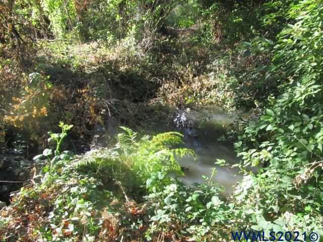 6912 Liberty Road South Salem, OR 97306 - Photo 34 of 37 a picture of tree