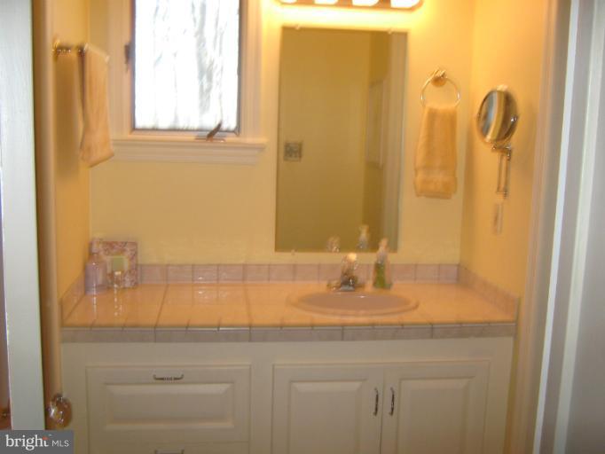 17203 Clarksridge Road Leesburg, VA 20176 - Photo 15 of 29 Bath (Master)