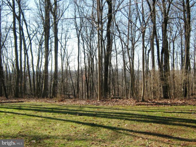 17203 Clarksridge Road Leesburg, VA 20176 - Photo 27 of 29 View