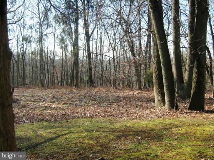17203 Clarksridge Road Leesburg, VA 20176 - Photo 28 of 29 View