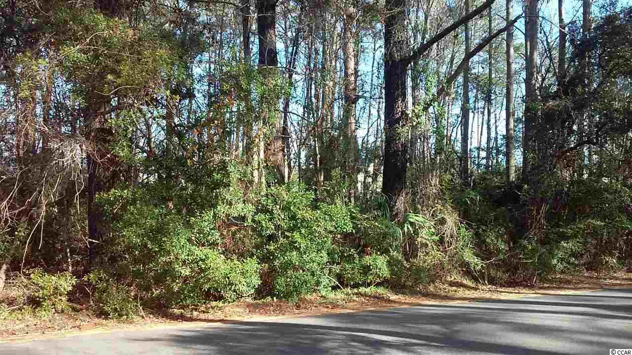 1544 Running Water Road Murrells Inlet, SC 29576 - Photo 1 of 8 Gallery Image 1