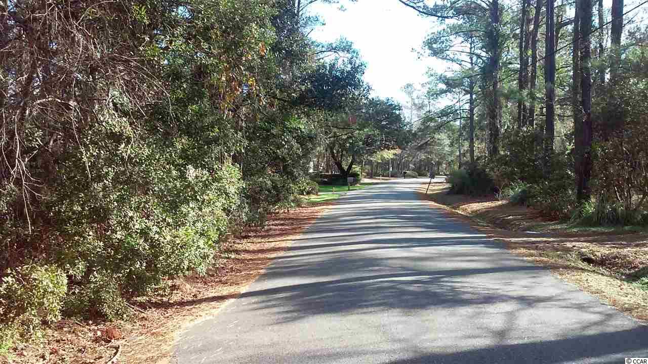 1544 Running Water Road Murrells Inlet, SC 29576 - Photo 2 of 8 Gallery Image 2