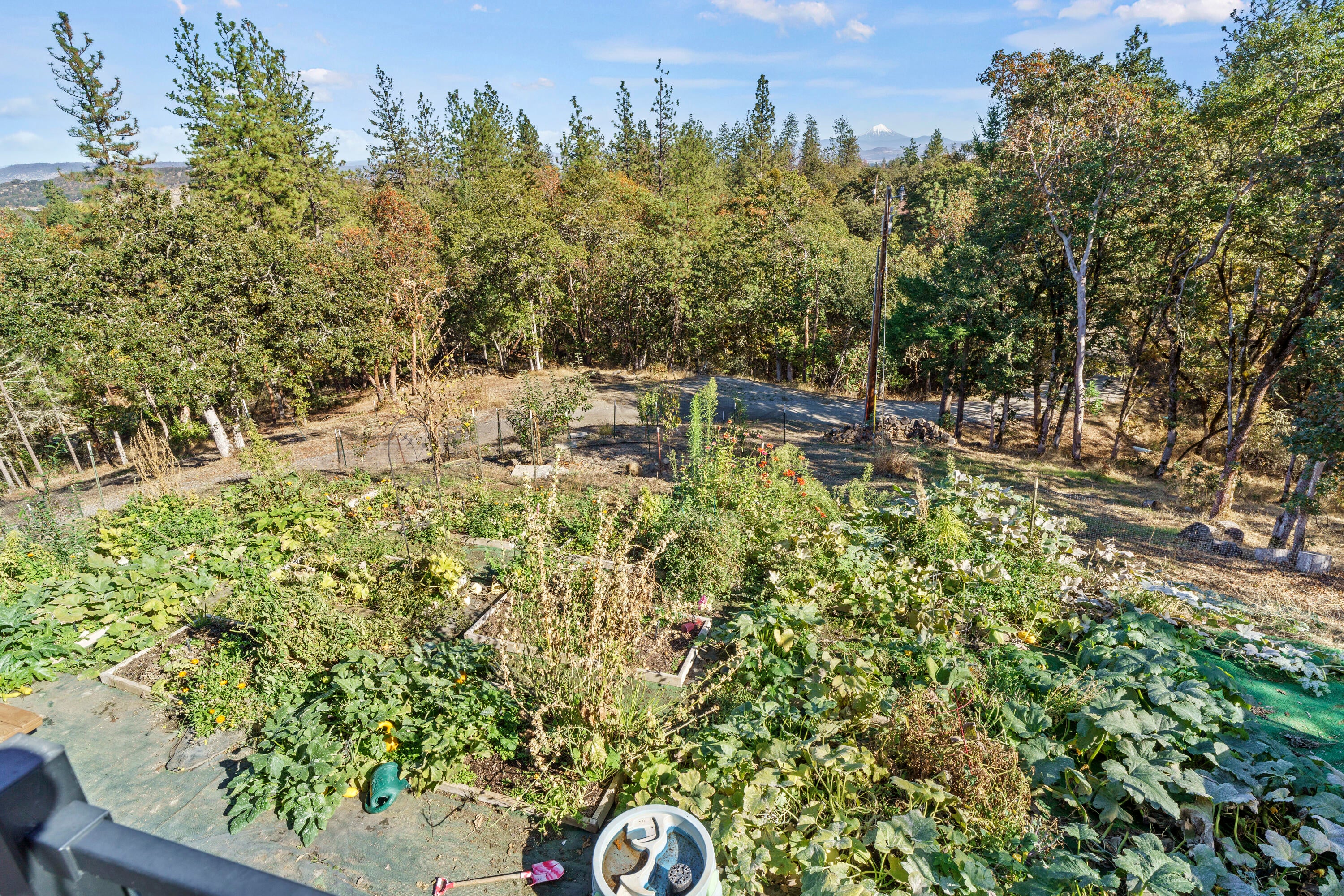 4871 Old Stage Road Central Point, OR 97502 - Photo 33 of 48 Garden area