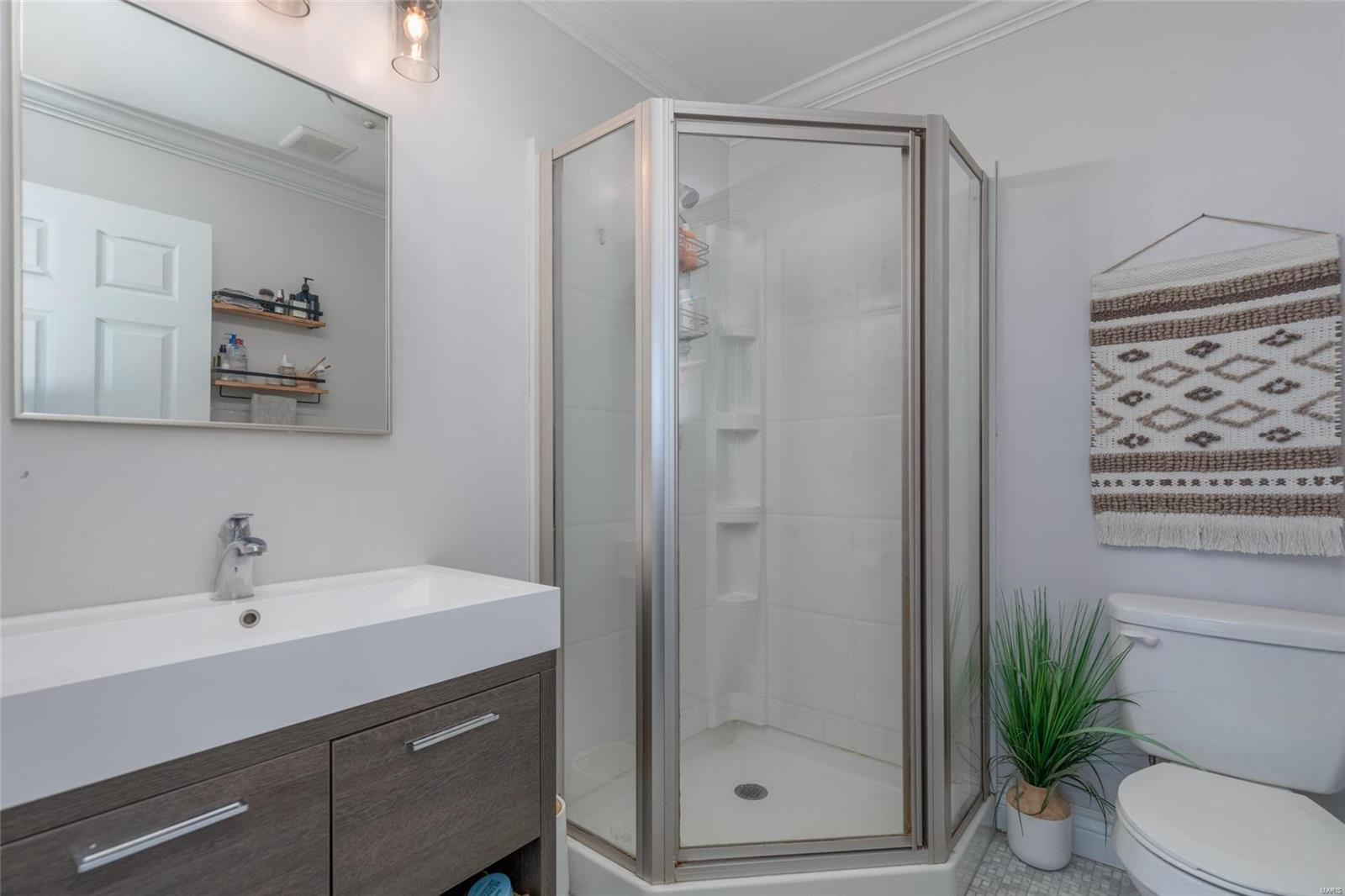 7338 Ahern Avenue St. Louis, MO 63130 - Photo 17 of 29