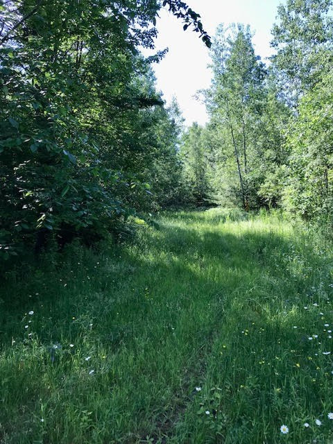 0 Bear Swamp Road Peru, NY 12972 - Photo 12 of 19 Additional View