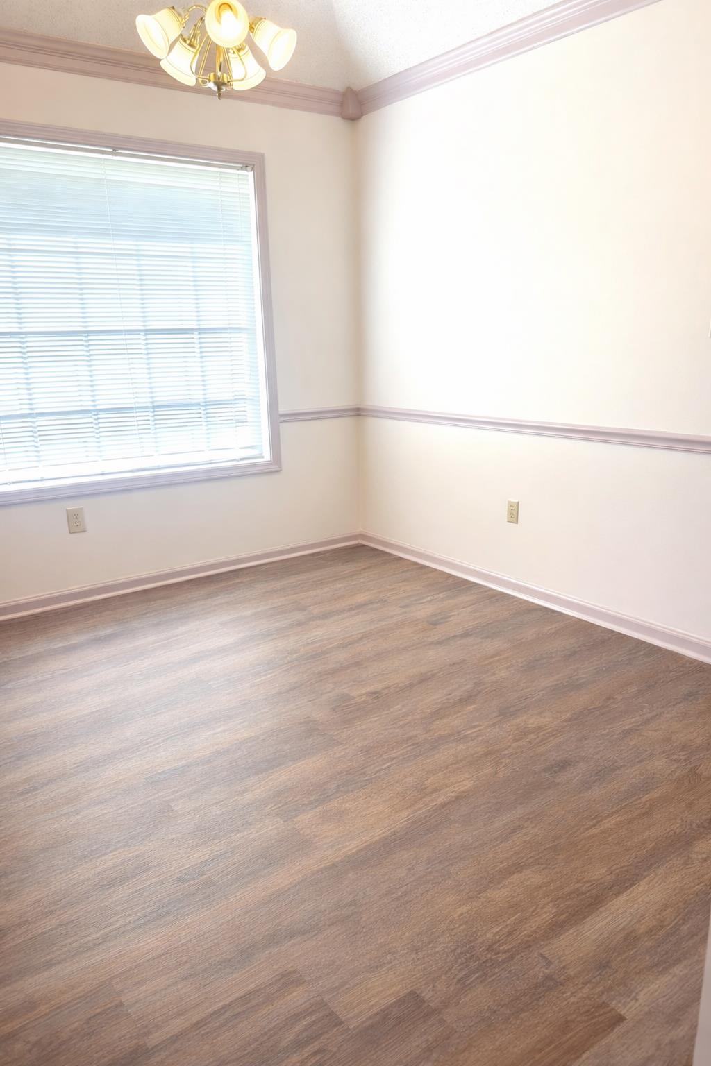 6708 Dawnhill Road Bartlett, TN 38135 - Photo 10 of 18 Room with wood-finish flooring, a window with horizontal blinds, and a five-light ceiling fixture