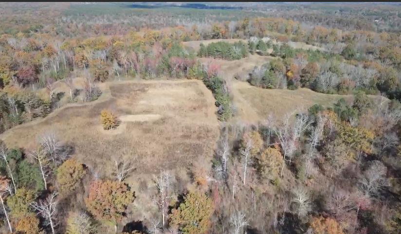 a view of a dry yard
