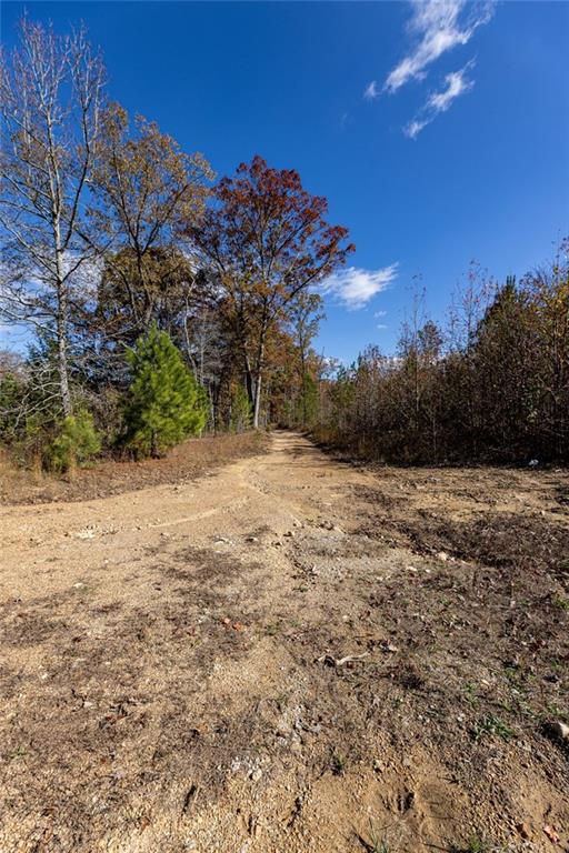 400 Kitchens Mountain Road Northwest Cartersville, GA 30120 - Photo 14 of 32 a view of dirt field with trees in the background