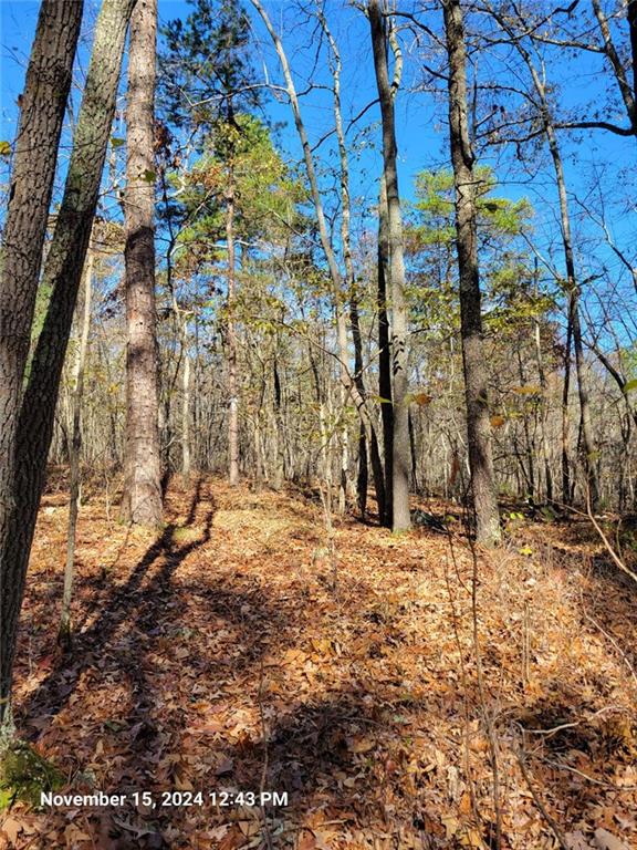 400 Kitchens Mountain Road Northwest Cartersville, GA 30120 - Photo 16 of 32 a view of empty room