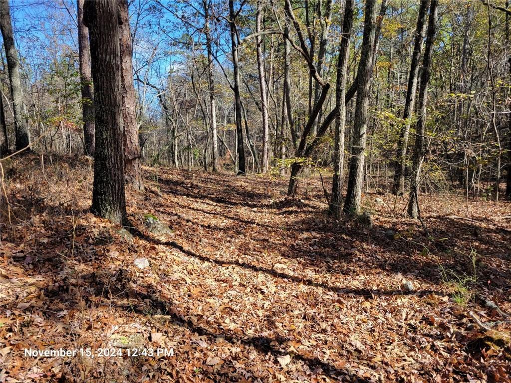 400 Kitchens Mountain Road Northwest Cartersville, GA 30120 - Photo 17 of 32 a view of a backyard with large trees