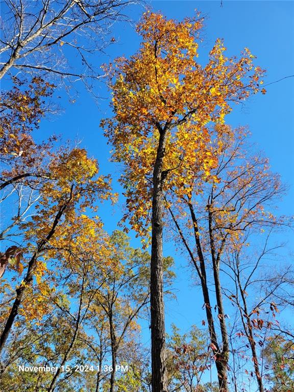 400 Kitchens Mountain Road Northwest Cartersville, GA 30120 - Photo 19 of 32 a backyard of a house